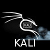 Kali Linux 2024.1 DVD (AMD64)